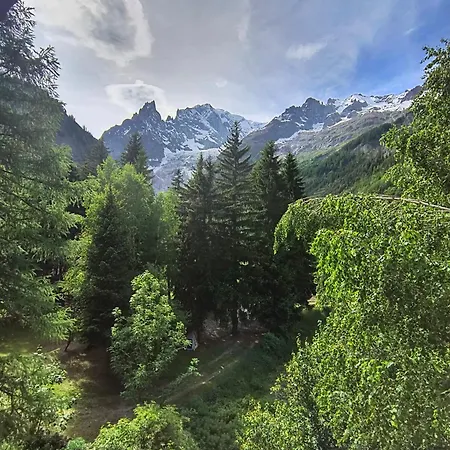Refuge D'entreves - Con Balcone, Giardinetto E Vista Monte Bianco - Horizon Vacanze 아파트